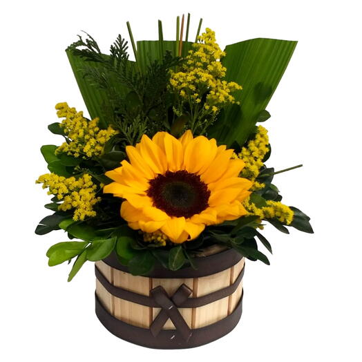 Arranjo Solitario de Girassol no Cachepot