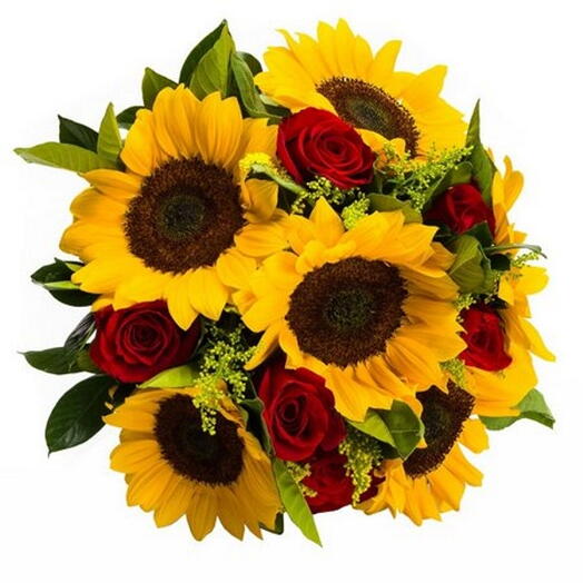 Girasol e Rosas Vermelhas