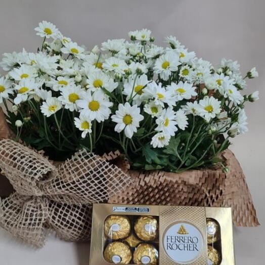 Margaridas com ferreiro