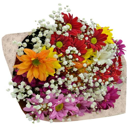 Buquê de Margaridinhas Coloridas
