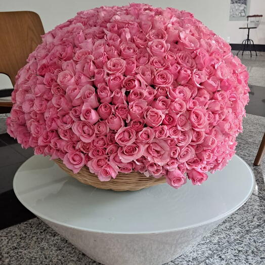 Cesta Luxo com 600 Rosas