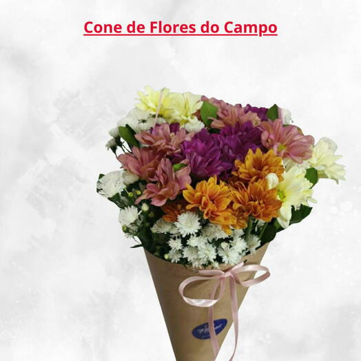 Cone de Flores do Campo