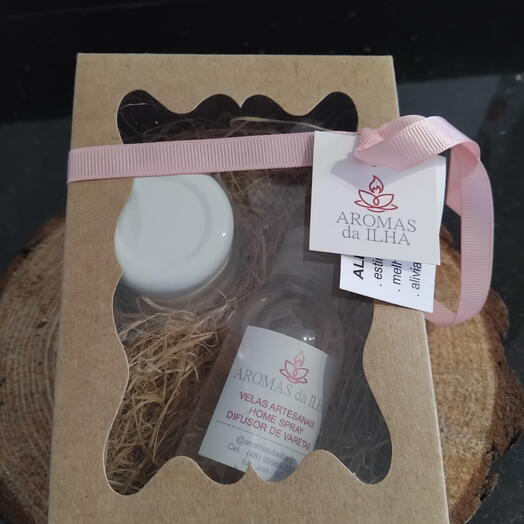 kit home spray e vela