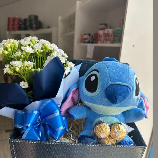 Cesta  Stitch com Kalanchoe