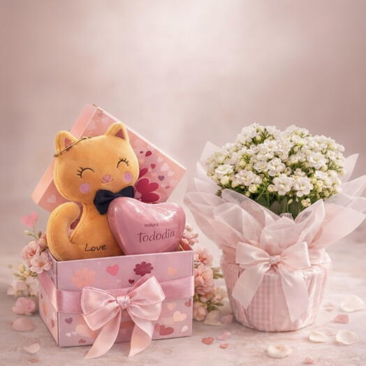 Combo Gatinha Encanto Rosa C568