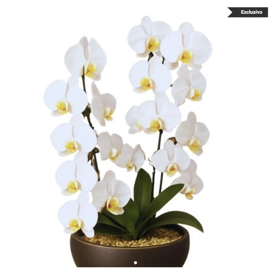 Arranjo Com 2 Orquideas Cascata Branca