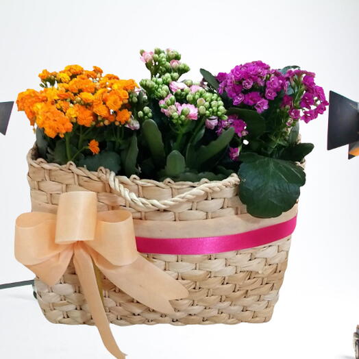 BOLSA COM FLORES PLANTADAS