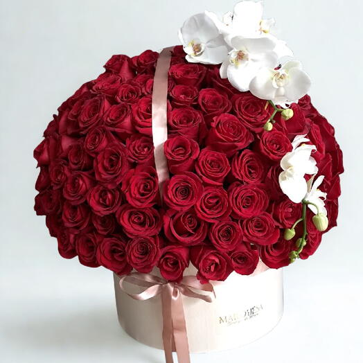 Amor e Orquidea- box 100 rosas