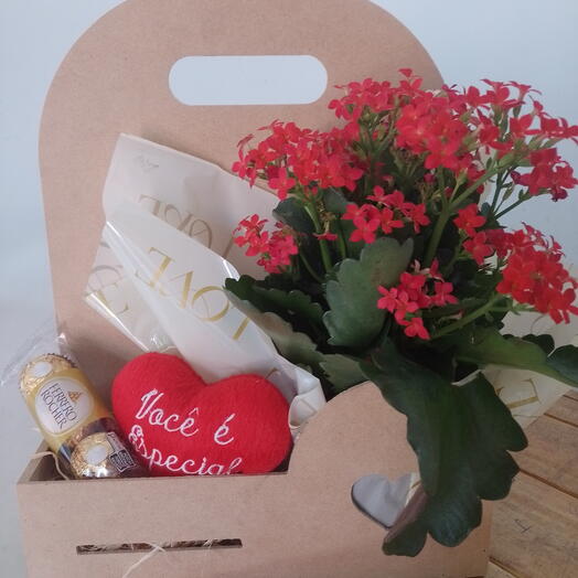 Cesta Você e Especial