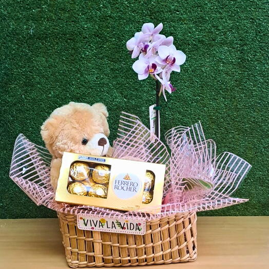 Cesta com Urso de Pelucia, Chocolate e Mini Orquidea