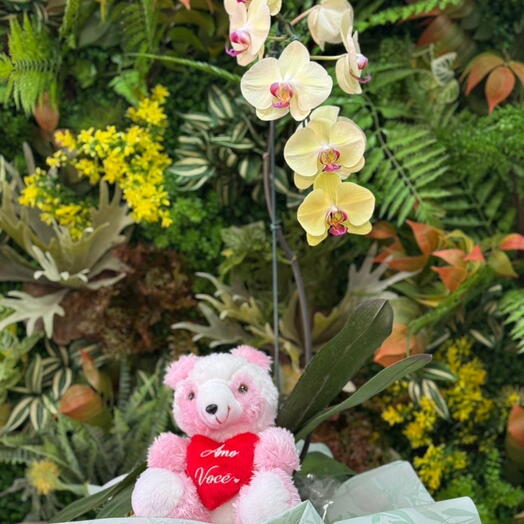 Orquidea Bege com Pelucia