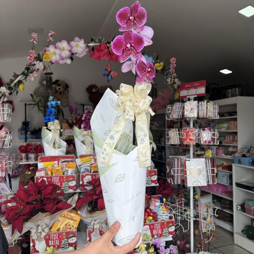 Orquidea Embalagem Simples