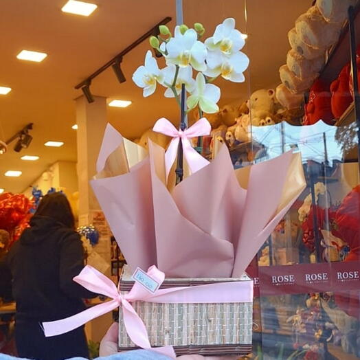 Mini Orquidea Branca No Cachepol