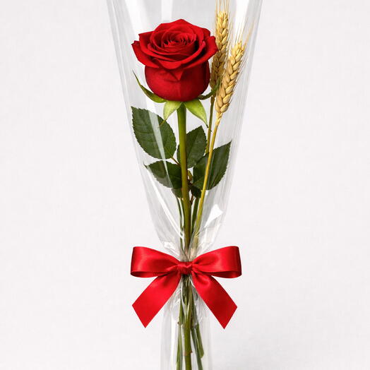 Rosa Vermelha Unitaria com Embalagem