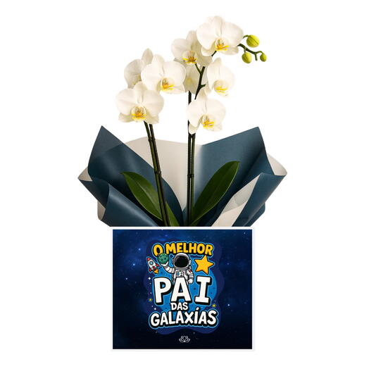 Orquidea o Melhor Pai Das Galaxias