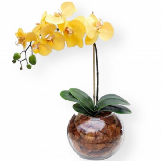 Orquidea amarela no vaso de vidro